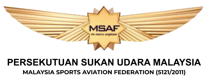 logo_msaf